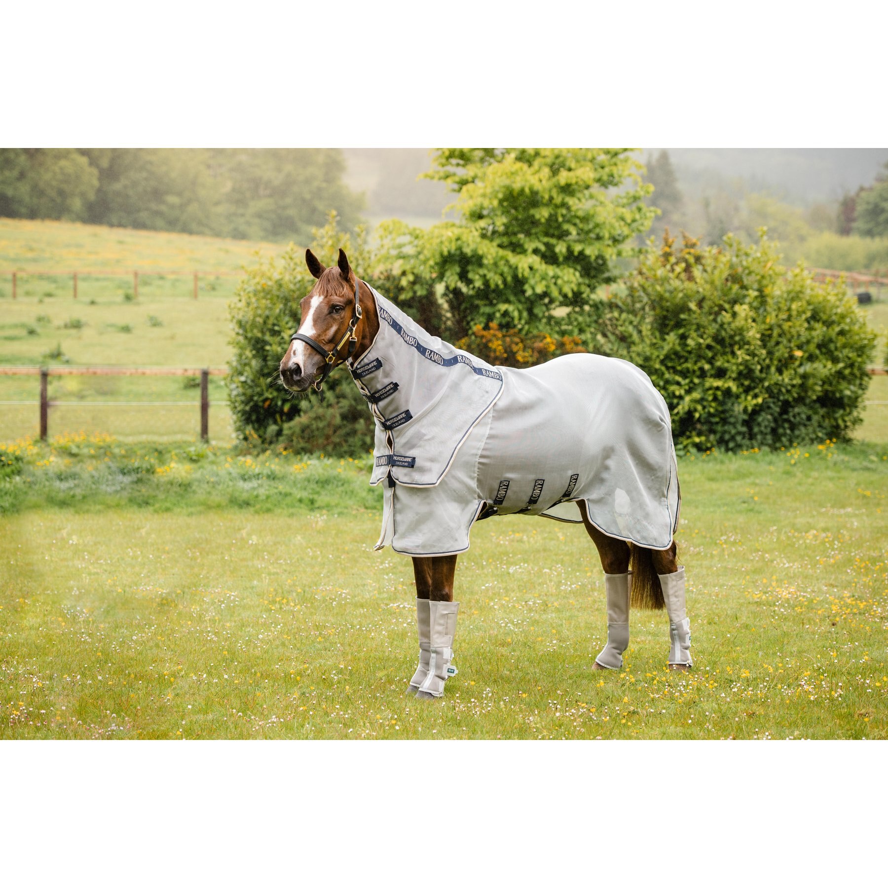 Horseware Rambo Protector Fieldsafe Plus Horse Fly Sheet, Silver with Navy, White & Beige, 84-in