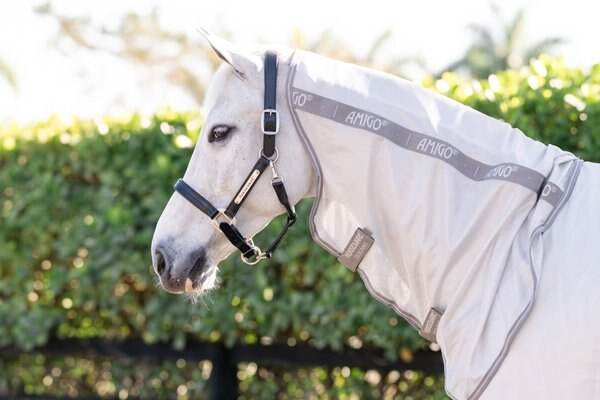 Amigo Integrated Horse Fly Sheet