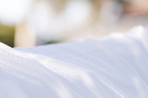 Show full view: Amigo Integrated Horse Fly Sheet, Silver with Titanium Grey & Silver, 72-in slide 4 of 8