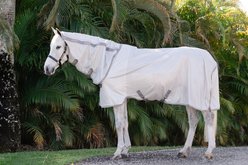 Amigo Integrated Horse Fly Sheet, Silver with Titanium Grey & Silver, 81-in