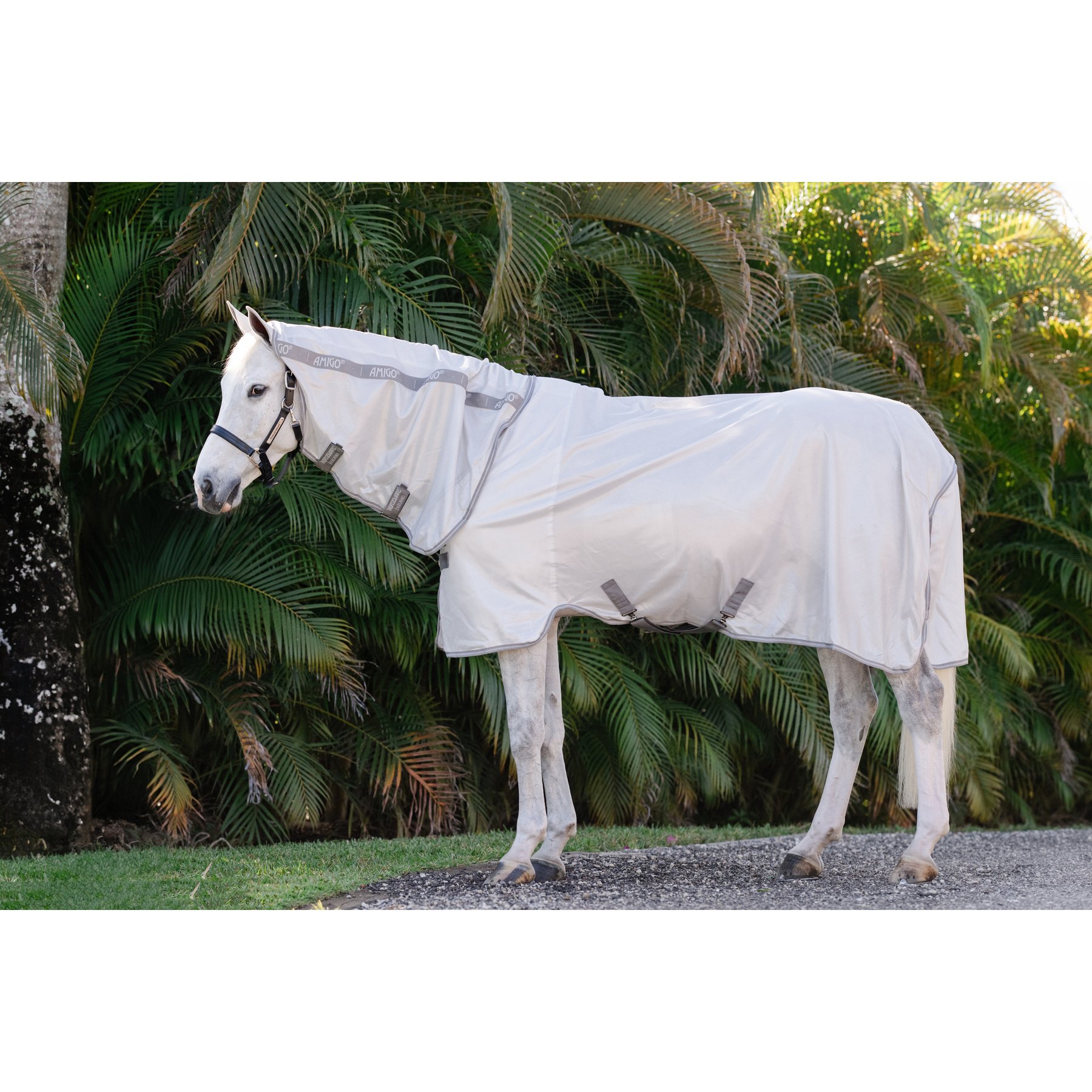 Horseware Amigo Integrated Horse Fly Sheet, Silver with Titanium Grey & Silver, 75-in