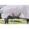 Show in main carousel: Amigo Bug Rug Plus Pony Fly Sheet, Silver with Titanium Grey & Silver, 60-in slide 3 of 6