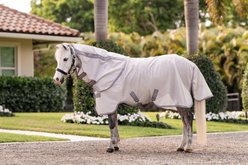 Amigo Bug Rug Plus Pony Fly Sheet, Silver with Titanium Grey & Silver, 60-in