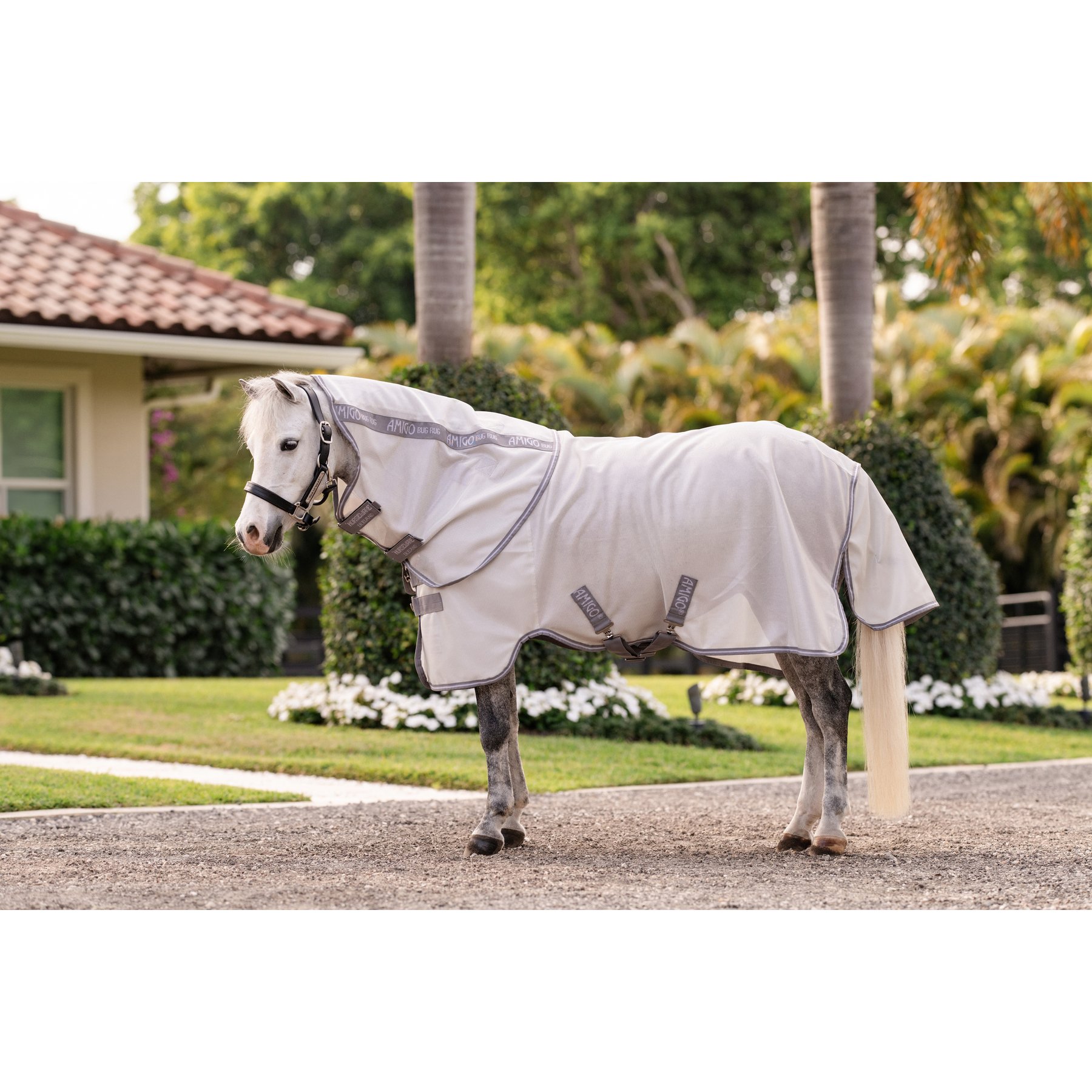 Horseware Amigo Bug Rug Plus Pony Fly Sheet, Silver with Titanium Grey & Silver, 60-in
