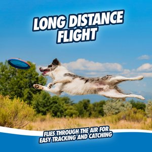 Chuckit! Paraflight Dog Toy, Large