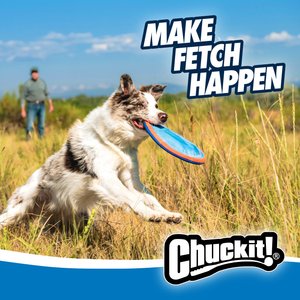 Chuckit! Paraflight Dog Toy, Large