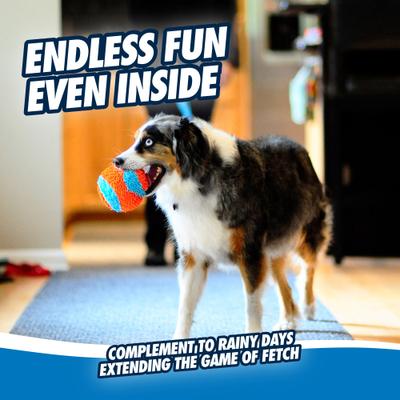 Show full view: Chuckit! Indoor Ball Dog Toy slide 3 of 8