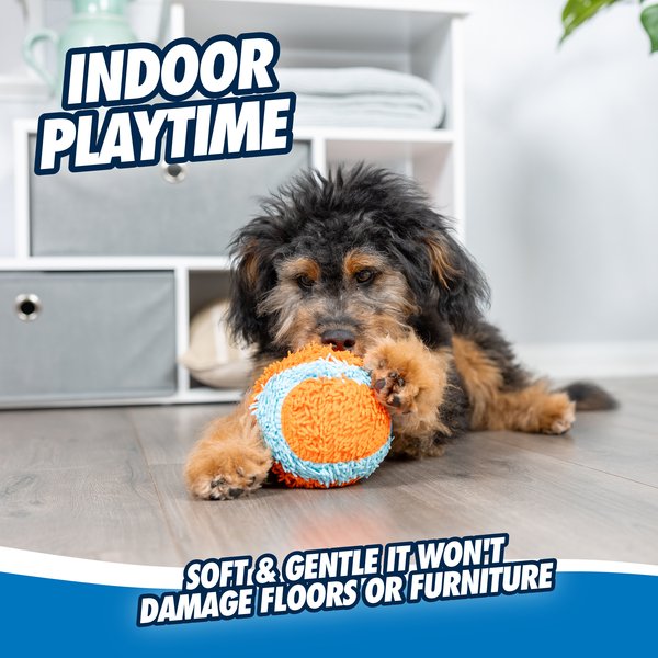 Show full view: Chuckit! Indoor Ball Dog Toy slide 2 of 8