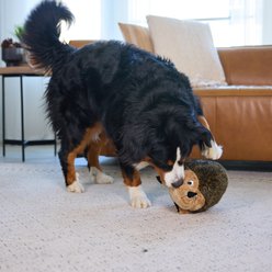 Outward Hound HedgehogZ Squeaky Plush Dog Toy, X-Large slide 2 of 6