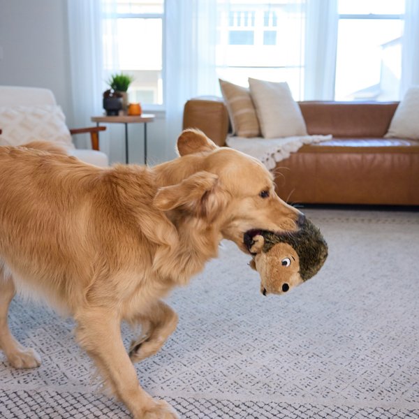 Show full view: Outward Hound HedgehogZ Squeaky Plush Dog Toy, Large slide 5 of 10