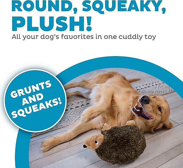 Show full view: Outward Hound HedgehogZ Squeaky Plush Dog Toy, Large slide 2 of 10