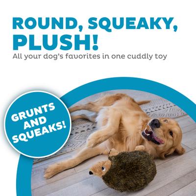 Show full view: Outward Hound HedgehogZ Squeaky Plush Dog Toy, Large slide 2 of 10