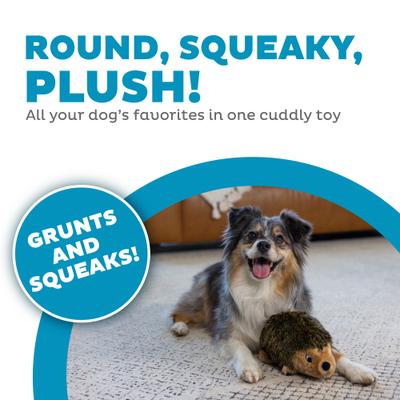 Show full view: Outward Hound HedgehogZ Squeaky Plush Dog Toy, Medium slide 3 of 11