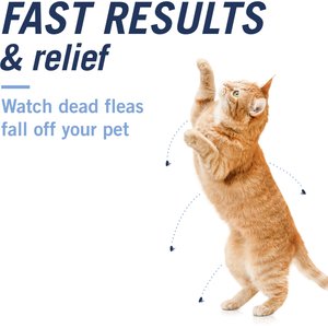 PetArmor CapAction Flea Tablets for Cats, 6 Tablets