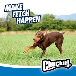 Chuckit! Ultra Rubber Ball Tough Dog Toy, Large slide 2 of 9