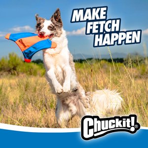 Chuckit! Flying Squirrel Dog Toy, Color Varies, Medium