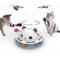 Show in main carousel: PawsPik Feather Frenzy 4-Function Interactive Cat Toy with Catnip Balls, White slide 1 of 8