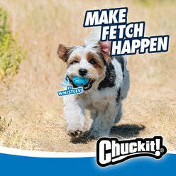 Chuckit! The Whistler Ball Dog Toy, Color Varies, Medium, 2 pack slide 2 of 7