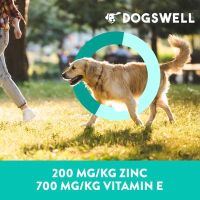 Show full view: Dogswell Skin & Coat Jerky Salmon Recipe Grain-Free Dog Treats, 10-oz bag slide 6 of 11