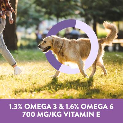 Show full view: Dogswell Skin & Coat Salmon Flavor Grain-Free Soft & Chewy Dog Treats, 14-oz bag slide 6 of 10