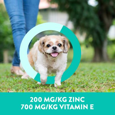 Show full view: Dogswell Skin & Coat Mini Jerky Salmon Recipe Grain-Free Dog Treats, 4-oz bag slide 6 of 11