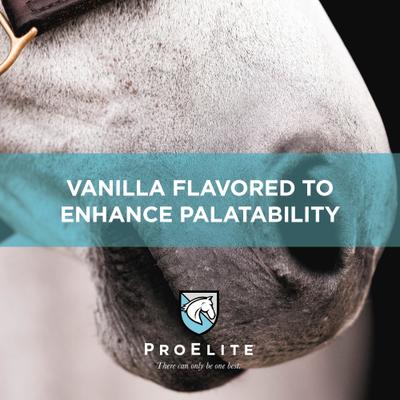 Show full view: ProElite Elements Powder Horse Vitamin, 4-lb pail slide 3 of 9