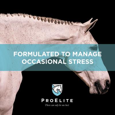 Show full view: ProElite Calm Pellets Horse Supplement, 3-lb pail slide 5 of 9