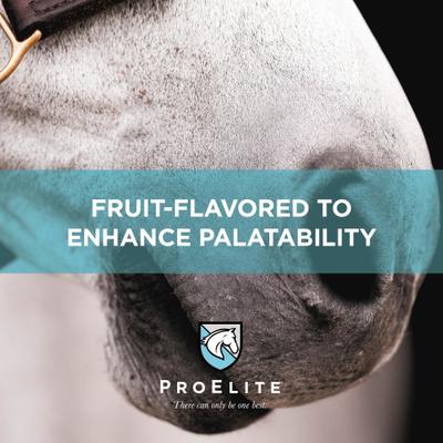 Show full view: ProElite Calm Pellets Horse Supplement, 3-lb pail slide 3 of 9