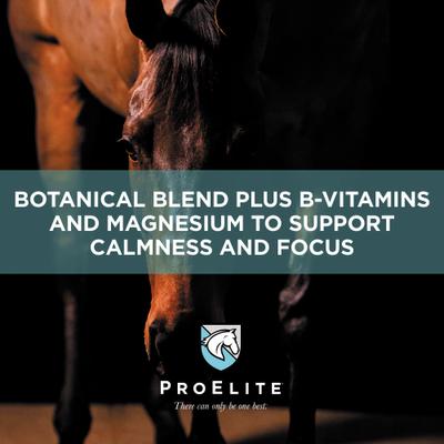 Show full view: ProElite Calm Pellets Horse Supplement, 3-lb pail slide 2 of 9