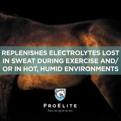 Show full view: ProElite Sweat Electrolyte Pellets Horse Supplement, 3-lb pail slide 2 of 8