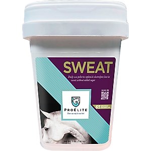 Enviro Equine Equi Balanc Syrup Liquid Horse Performance Supplement