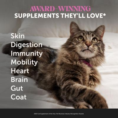 Show full view: Pet Honesty Dual Texture Chicken Flavored Multivitamin Omega-3 & Lysine Chews for Cats, 3.7-oz pouch slide 3 of 12