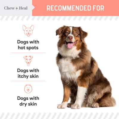 Show full view: Chew + Heal Natural Hot Spot Relief Topical Liquid for Dogs, 2-fl oz bottle slide 8 of 11