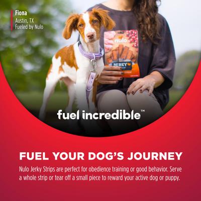 Show full view: Nulo Premium Grain-Free High Protein Jerky Strips Dog Treats, 5-oz bag slide 7 of 11