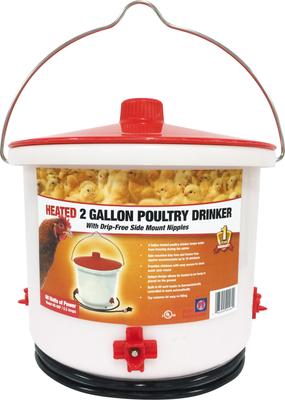 Show full view: Farm Innovators Heated Poultry Drinker, 2-gal slide 4 of 5