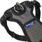 Show in main carousel: Frisco Padded No Pull Dog Harness, Black, S- Girth16 to 22-in slide 4 of 10