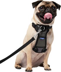 Frisco Padded No Pull Dog Harness, Black, S- Girth16 to 22-in