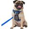 Show in main carousel: Frisco Padded No Pull Dog Harness, Blue, S- Girth16 to 22-in slide 1 of 11