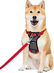 Frisco Padded No Pull Dog Harness, Red, M- Girth 22 to 34-in