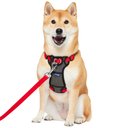 Frisco Padded No Pull Dog Harness, Red, M- Girth 22 to 34-in