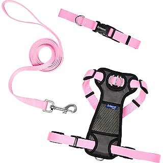 Frisco Padded No Pull Dog Harness, Pink, M- Girth 22 to 34-in slide 5 of 7