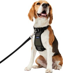 Frisco Padded No Pull Dog Harness, Black, M- Girth 22 to 34-in