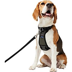 Frisco Padded No Pull Dog Harness, Black, M- Girth 22 to 34-in