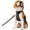 Show in main carousel: Frisco Padded No Pull Dog Harness, Black, M- Girth 22 to 34-in slide 1 of 10