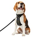 Frisco Padded No Pull Dog Harness, Black, M- Girth 22 to 34-in