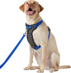 Frisco Padded No Pull Dog Harness, Blue, XL- Girth 32 to 50-in
