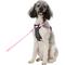 Show in main carousel: Frisco Padded No Pull Dog Harness, Pink, XL- Girth 32 to 50-in slide 1 of 11