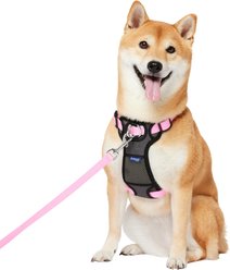 Frisco Padded No Pull Dog Harness, Pink, M- Girth 22 to 34-in