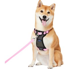 Frisco Padded No Pull Dog Harness, Pink, M- Girth 22 to 34-in