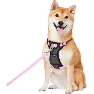 Frisco Padded No Pull Dog Harness, Pink, M- Girth 22 to 34-in slide 1 of 7